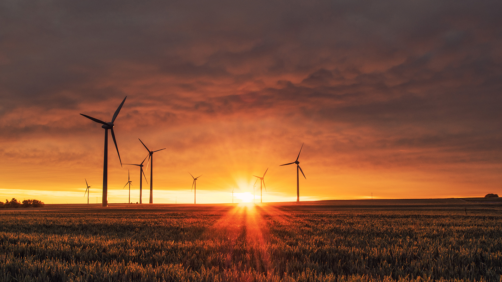 Energías Renovables